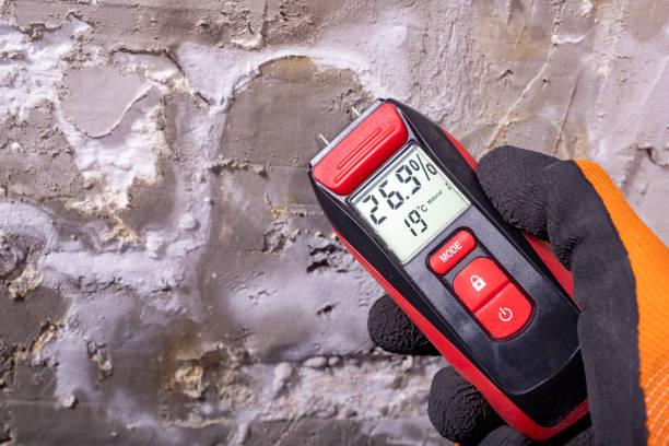 Best Crawl Space Mold Removal  in Fulton, KY